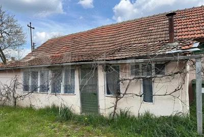 Casă cu Teren 1500 Mp în Moșnița Nouă
