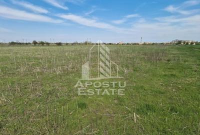 Teren Construcții intravilan de 10900 mp, în Sud - 4