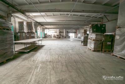 Spațiu industrial, de 9,500 mp, în Central - 11