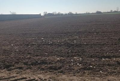 Teren Construcții intravilan de 500 mp, în Ordoreanu - 4