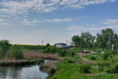 Teren Construcții intravilan de 800 mp, în Sud-Vest - 3