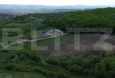 Teren de 15100 mp, în Central - 7