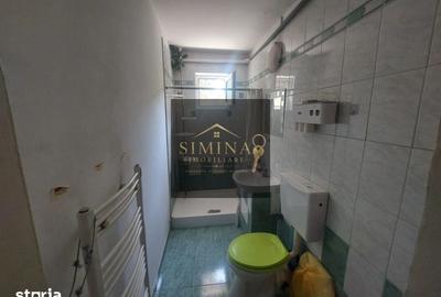 Apartament cu 2 camere nedecomandat în Dâmbu Pietros