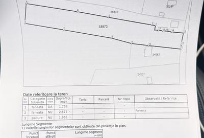 Teren Construcții intravilan de 6200 mp, în Tăuții-Măgherăuș - 4