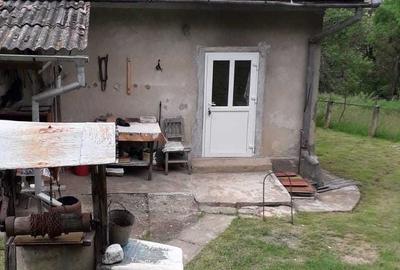 Casă cu 2 camere în Mociu - 2