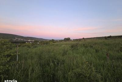 Teren de 1500 mp, în Mărăști - 3
