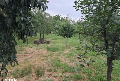 Teren de 3122 mp, în Bilciurești - 3