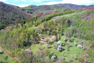 Teren de 69237 mp, în Criș - 2