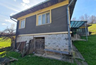 Casă individuală cu 2 camere cu Teren 13000 Mp în Tomești - 10