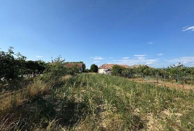 Teren de 900 mp, în Drăgănești - 8