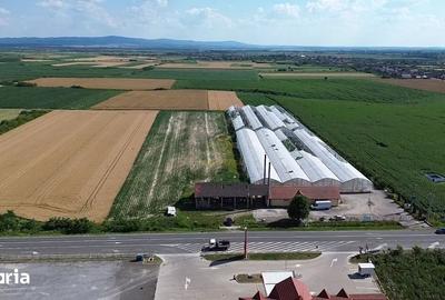 Teren de 9482 mp, în Medieșu Aurit - 3