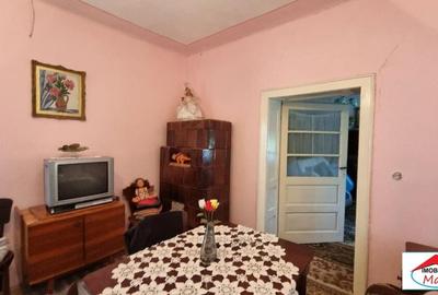 Casă individuală cu 2 camere cu Teren 8052 Mp în Viile Satu Mare - 7