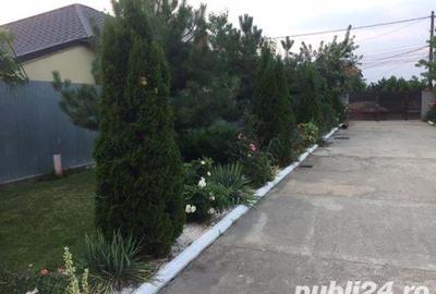 Teren de 1000 mp, în Glina - 1