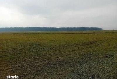 Teren de 635 mp, în Hârsești - 2
