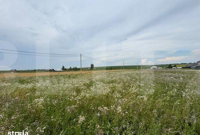 Teren de 700 mp, în Răchiți
