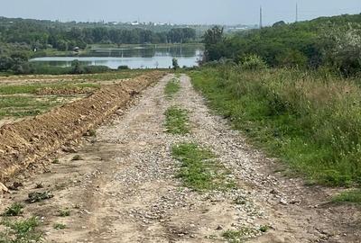 Teren extravilan de 1000 mp, în Costi