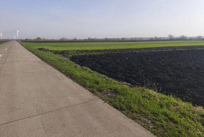 Teren de 9300 mp, în Satu Mare - 2
