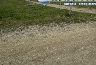 Spațiu comercial, în Cetate - 4