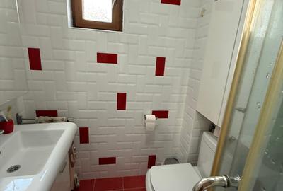Apartament cu 2 camere decomandat în Mogoșoaia - 9