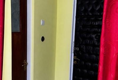 Garsonieră nedecomandată în Pantelimon - 5