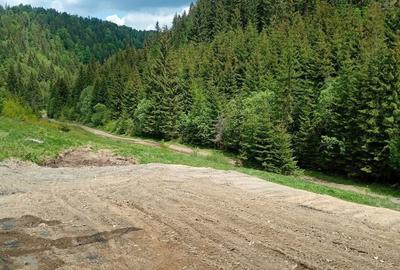 Teren de 3100 mp, în Muntele Băișorii - 3