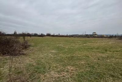 Teren în Lăpuș - 1