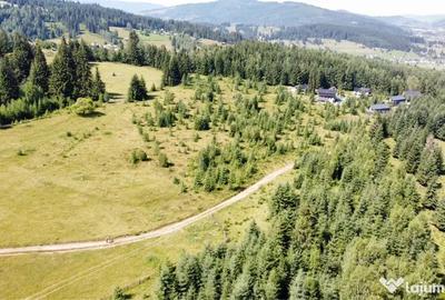 Teren de 4000 mp, în Dorna-Arini - 5