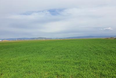 Teren agricol extravilan de 7400 mp, în Tărlungeni - 3