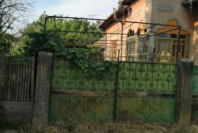 Casă cu 4 camere în Golenți