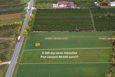 Teren intravilan de 4500 mp, în Vest - 2