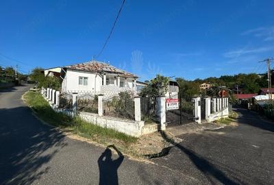 Casă cu 4 camere cu Teren 1236 Mp în Vâlcănești