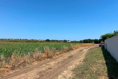 Teren agricol intravilan de 24000 mp, în Central - 4