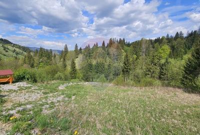 Teren agricol intravilan de 4048 mp, în Periferie - 16