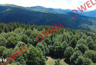 Teren de 23000 mp, în Vama Buzăului - 5