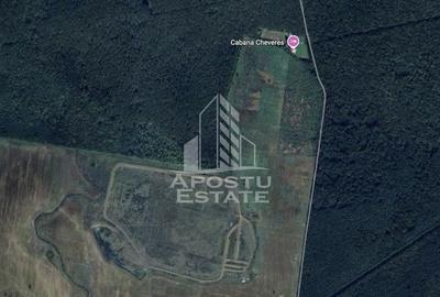 Teren de 27000 mp, în Chevereșu Mare - 1