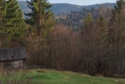Teren de 5334 mp, în Dârlești - 8