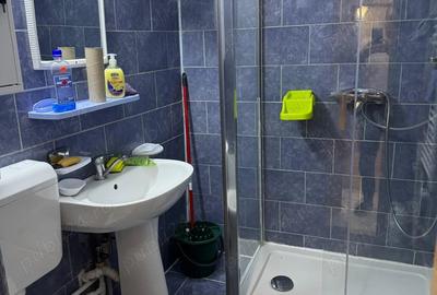 Apartament cu 2 camere semidecomandat în Pantelimon - 5