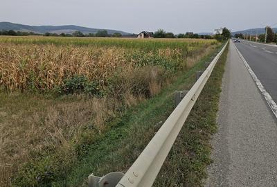 Teren de 2900 mp, în Central