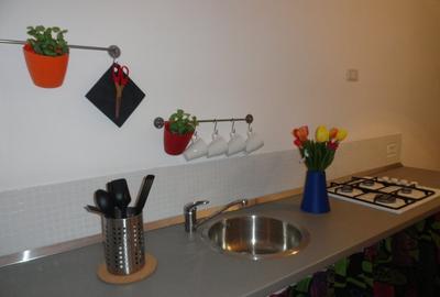 Apartament cu 2 camere decomandat, mobilat în Centrul Istoric - 11