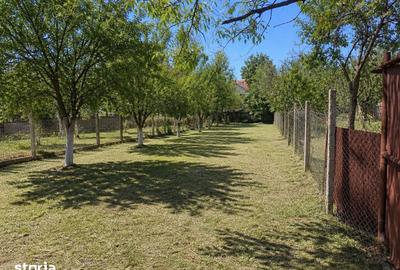 Teren de 517 mp, în Cantemir