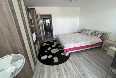 Garsonieră decomandată în Brazda lui Novac - 3