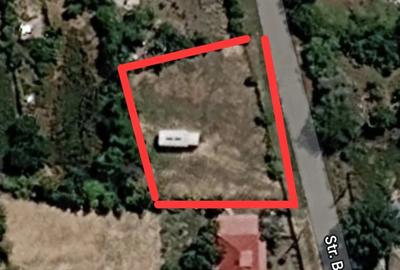 Casă cu 3 camere cu Teren 1800 Mp în Balta Albă