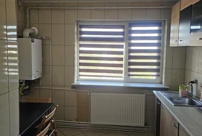 Apartament cu 3 camere decomandat în Lăpuș Argeș - 6