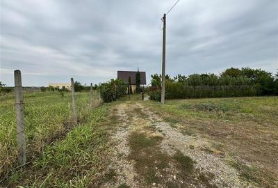Teren Construcții intravilan de 731 mp, în Golești - 2