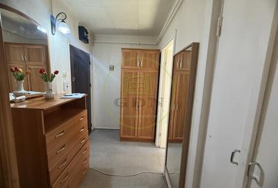 Apartament cu 2 camere semidecomandat, mobilat în Brazda lui Novac - 9