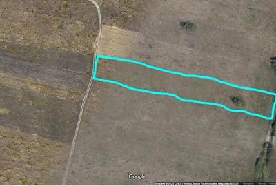 Teren de 5000 mp, în Moșnița Veche