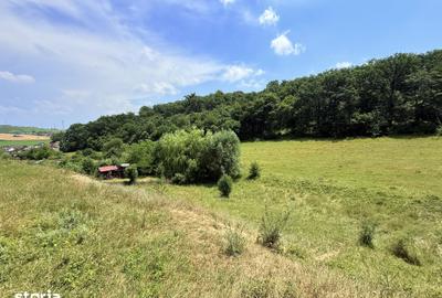 Teren de 2500 mp, în Sântana de Mureș