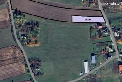 Teren Construcții intravilan de 1800 mp, în Grumăzești