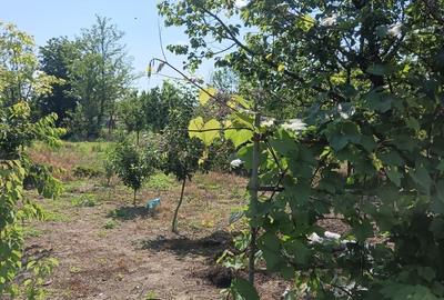 Casă cu 3 camere în Vărsătura - 2