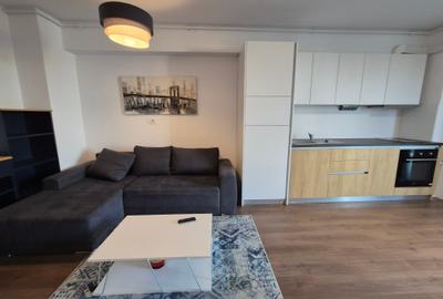Apartament cu 2 camere decomandat, mobilat în Torontalului - 14